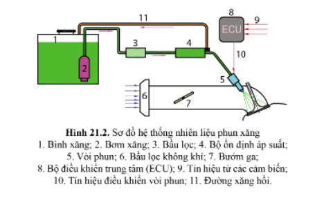 Quan sát hình 21.2, cho biết cấu tạo chung và nguyên lí làm việc của hệ thống nhiên liệu phun xăng.