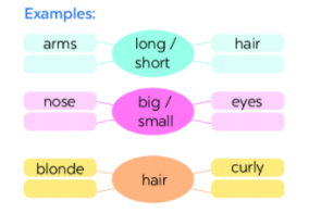 [Kết nối tri thức và cuộc sống] Tiếng Anh 6 unit 3: Getting started