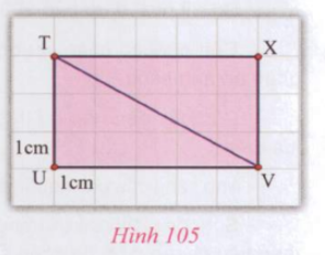 Giải VNEN toán 8 bài 2: Diện tích hình tam giác