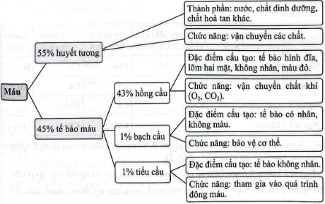 Hãy tóm tắt đặc điểm cấu tạo, chức năng của máu theo sơ đồ dưới đây.