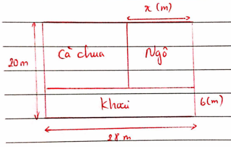 Trắc nghiệm Toán 7 cánh diều bài 3 Phép cộng, phép trừ đa thức một biến (P2)