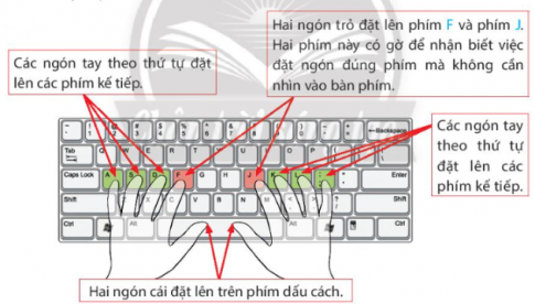 Hãy ghép mỗi ngón tay phụ trách với các phím số tương ứng ở Hình 4.