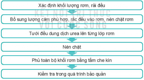 Quan sát Hình 8.6 và mô tả các bước ủ rơm rạ với urea làm thức ăn cho trâu, bò