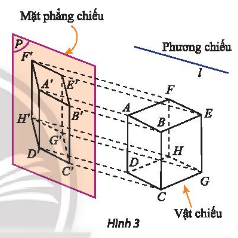 Vận dụng 1 trang 122 Toán 11 tập 1 Chân trời