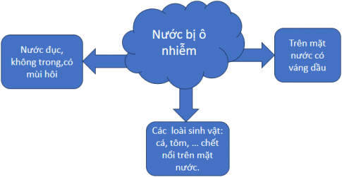 Hãy mô tả một số dấu hiệu nước bị ô nhiễm bằng cách hoàn thành sơ đồ dưới đây.