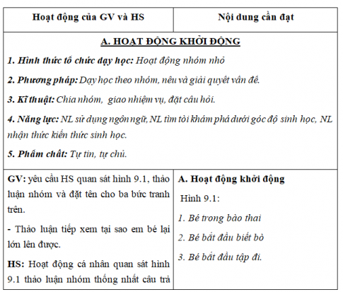 Giáo án VNEN bài Sự lớn lên và phân chia của tế bào (T1)