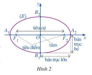 Giải hoạt động 1 trang 39 Chuyên đề toán 10 cánh diều