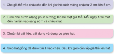 Em hãy sử dụng thẻ gợi ý dưới đây để sắp xếp đúng thứ tự các bước gieo hạt hoa, cây cảnh trong chậu