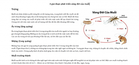 Em hãy bổ sung thêm hình vẽ hay ảnh vào một văn bản đã có (ví dụ một bài tập) để minh họa cho nội dung và làm văn bản trở nên sinh động hơn