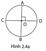 Giải phát triển năng lực toán 9 bài 2: Đường kính và dây cung của đường tròn