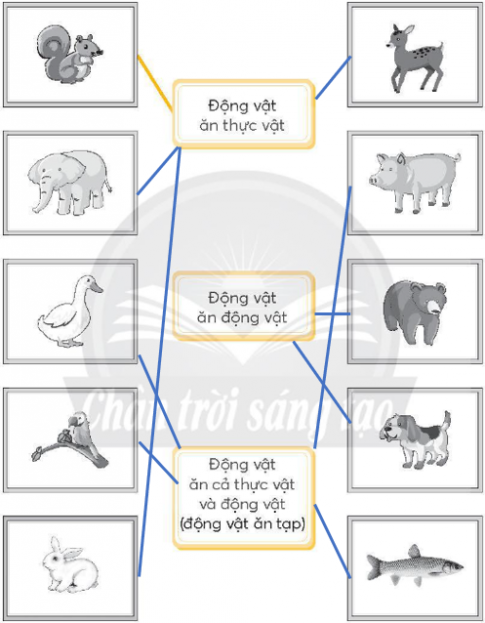 Nối hình mỗi con vật với ô chữ phù hợp (theo mẫu).