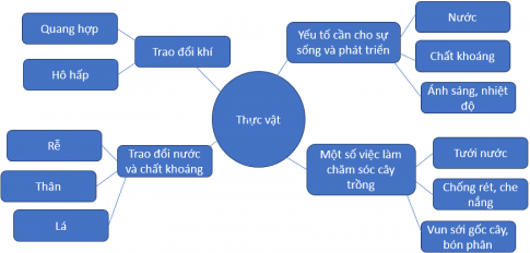 Điền nội dung phù hợp để hoàn thành các sơ đồ tư duy về chủ đề Thực vật và động vật mà em đã học.