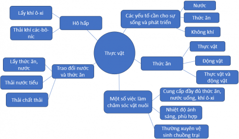 Điền nội dung phù hợp để hoàn thành các sơ đồ tư duy về chủ đề Thực vật và động vật mà em đã học.