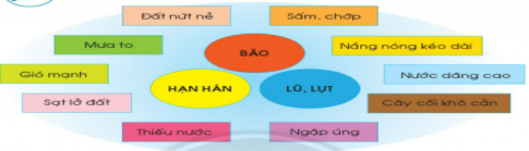 [Chân trời sáng tạo] Soạn tự nhiên và xã hội 2 bài 27: Một số hiện tượng thiên tai