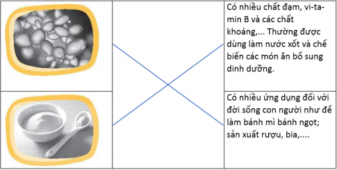 Hãy nối hình ảnh nấm men với mô tả ích lợi sao cho phù hợp.