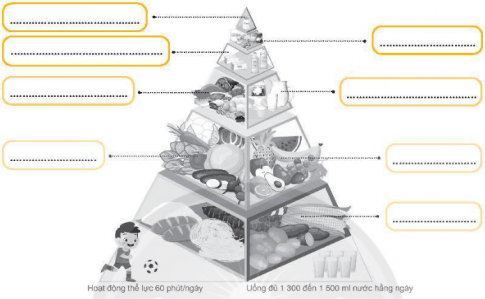 Hãy hoàn thành tháp dinh dưỡng dưới đây bằng cách điền vào chỗ (...) sao cho phù hợp.