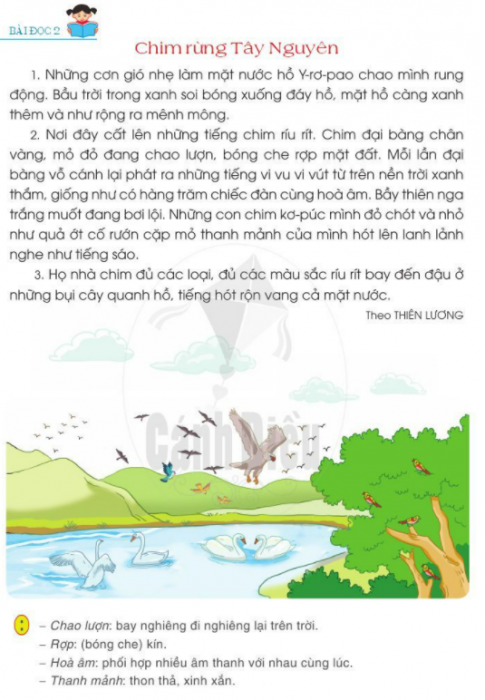  Thế giới loài chim