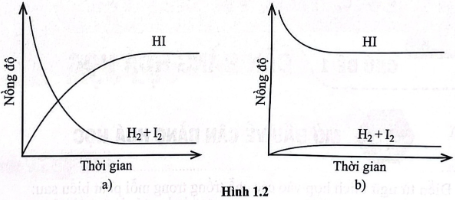 Quan sát Hình 1.2 và chọn phát biểu đúng.