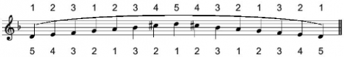 1.1. Đàn gam