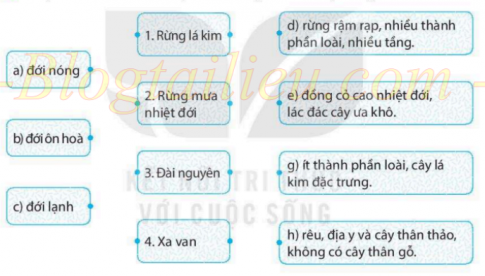 [KNTT] Giải SBT lịch sử và địa lí 6 bài: Sự sống trên Trái Đất