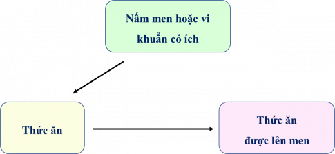 Câu 1: Em hãy vẽ sơ đồ nguyên lí chế biến thức ăn cho vật nuôi bằng công nghệ vi sinh vật. 