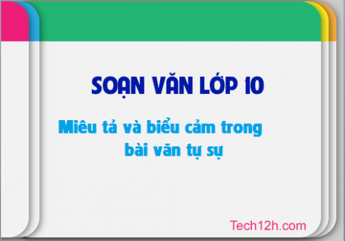 Soạn văn bài: Miêu tả và biểu cảm trong bài văn tự sự