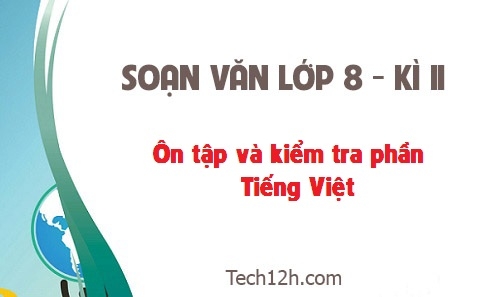 Soạn văn 8 bài: Ôn tập và kiểm tra phần Tiếng Việt trang 130 sgk