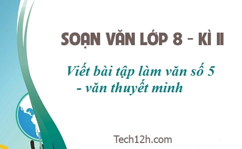 Soạn văn bài: Viết bài tập làm văn số 5 Văn thuyết minh (làm ở nhà)