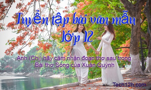 Bài văn: Anh (Chị) hãy cảm nhận đoạn thơ sau trong bài thơ Sóng của Xuân Quỳnh bài mẫu 3