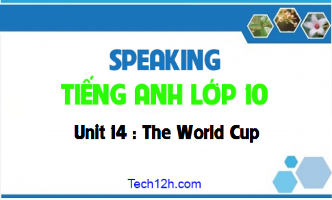 Speaking Unit 14 : The World Cup 