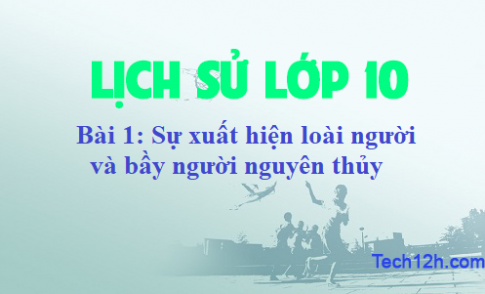 Bài 1: Sự xuất hiện loài người và bầy người nguyên thủy