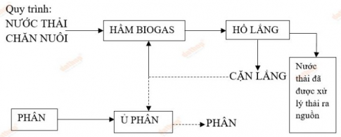 Sử dụng internet, sách, báo,... để tìm hiểu thêm về biện pháp khí sinh học và hồ sinh học trong xử lí chất thải chăn nuôi
