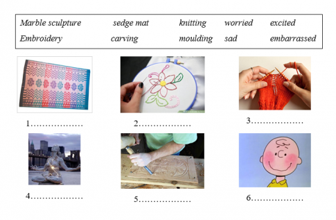 Giải VBT tiếng Anh 9 VNEN:  Test yourself 1 ( Unit 1,2,3)
