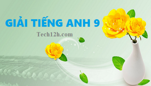 Tiếng Anh 9, giải bài tập tiếng anh 9 chi tiết, dễ hiểu