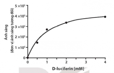 Đồ thị dưới đây cho thấy, khi lượng cơ chất không đổi còn hàm lượng enzyme tăng dần