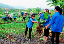 Giải sinh học 9 bài 62: Thực hành Vận dụng luật bảo vệ môi trường vào việc bảo vệ môi trường ở địa phương