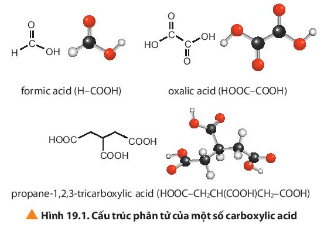 Quan sát hình 19.1, hãy nêu đặc điểm chung về cấu tạo của carboxylic acid, nêu đặc điểm khác về cấu tạo của carboxylic acid so với cấu tạo của aldehyde và ketone.