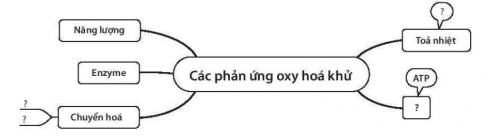 Hãy điền các thuật ngữ vào những chỗ có dấu (?) và các lời giải thích trên các đường gạch đậm nối các khái niệm trong hình dưới đây: