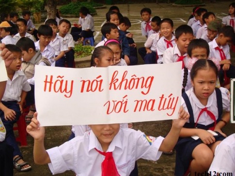 Viết văn nghị luận về chủ đề: Hãy nói “không” với tệ nạn ma túy