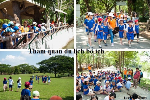 Sự bổ ích của những chuyến tham quan, du lịch đối với học sinh 