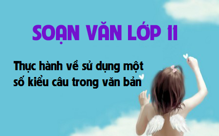 Soạn văn bài: Thực hành về sử dụng một số kiểu câu trong văn bản