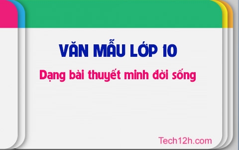 Dạng bài văn thuyết minh đời sống