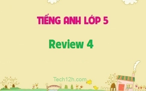 Review 4