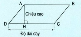 Giải bài : Diện tích hình bình hành