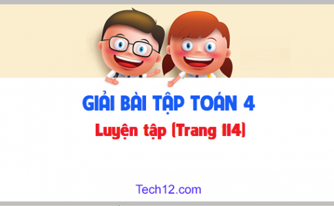 Giải bài : Luyện tập sgk Toán lớp 4 trang 114