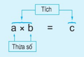 Giải bài : Phép nhân - sgk Toán 5 trang 161