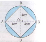 Giải bài : Ôn tập về tính chu vi, diện tích một số hình - sgk Toán 5 trang 166
