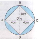  Ôn tập về tính chu vi, diện tích một số hình - sgk Toán 5 trang 166