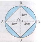 Giải bài tập 3 trang 167 sách toán tiếng anh 5