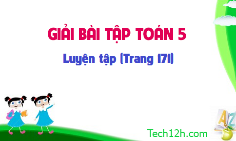 Giải bài : Luyện tập sgk Toán 5 trang 171